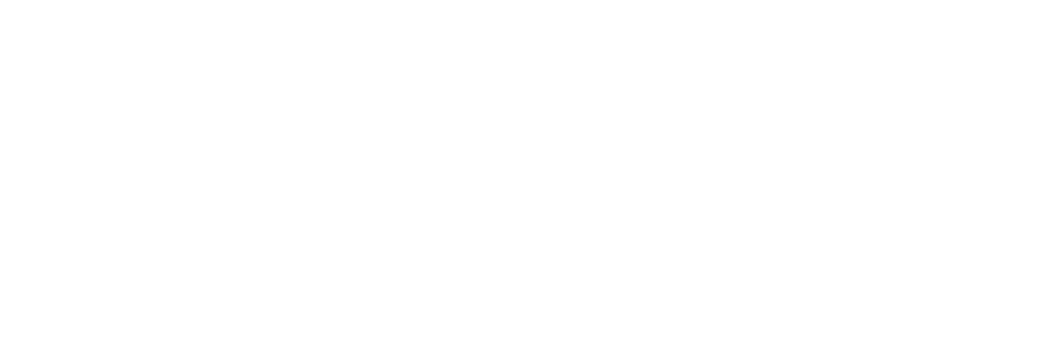 Logo Fazendas Dois Irmãos